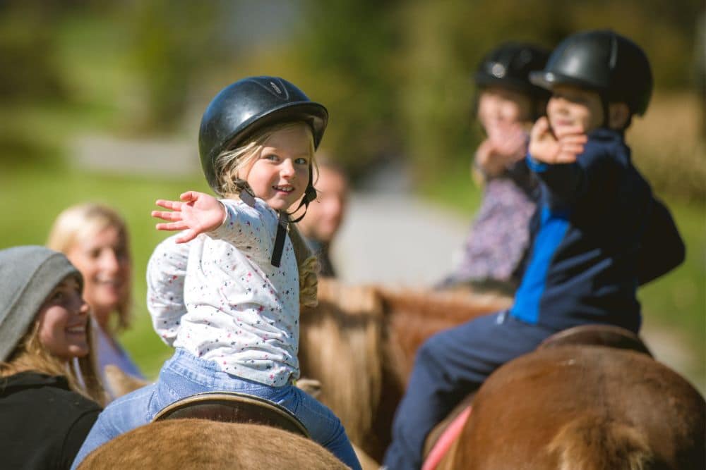 Kinder Reithelm Ratgeber