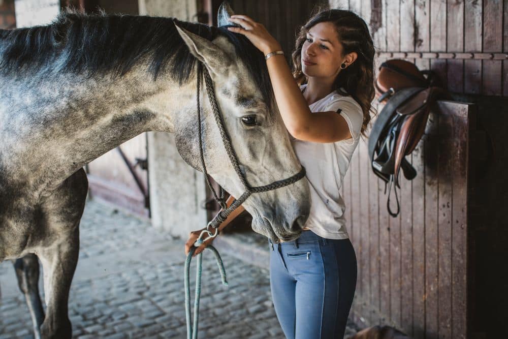 Reiten Zubehör